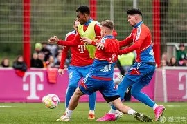 乐鱼登录入口 -赛地聚焦：社区盾窗口期热度飙升；拜仁慕尼黑门线救险；震撼外界；赛季目标并未改变 